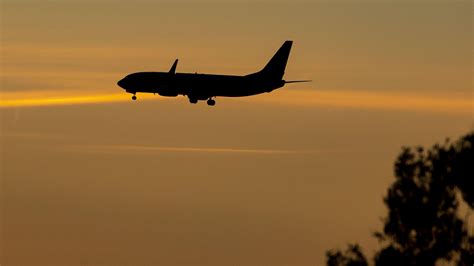 y8 similar website|Inquiry into claims Israeli munitions flown through Irish airspace.